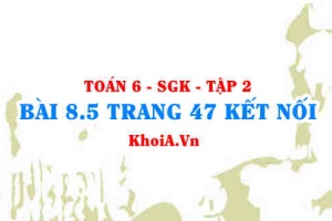 Bài 8.5 trang 47 Toán 6 Tập 2 Kết nối tri thức